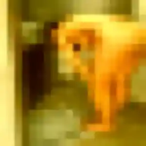 Verane, 40 ans, connectée à Amilly pour une rencontre coquine