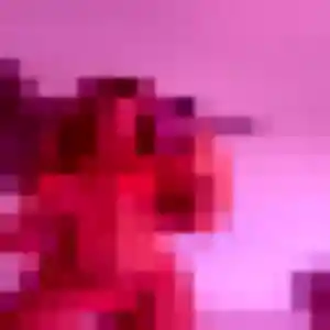 Rencontre Elvire, 33 ans à Bassussarry en privé