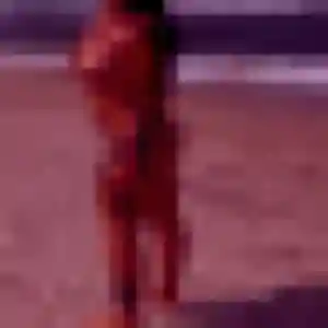 Colombine de Carhaix-Plouguer, 24 ans - rencontre cougar sans prise de tête