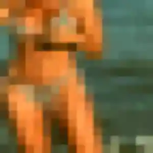 Profil de Solene à Châteaulin (42 ans) - rencontre cougar gratuit
