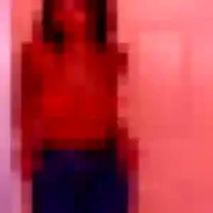 Rencontre Lisette, 34 ans à Chavagnes-en-Paillers en privé