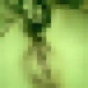 Photo exclusive de Eleonore, 19 ans à Chazelles-sur-Lyon - rencontre coquine