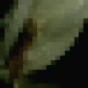 Caroline, 33 ans, dispo pour rencontre cougar à Corenc