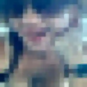 Corinne, femme de 29 ans veut rencontre cougar à Coulounieix-Chamiers