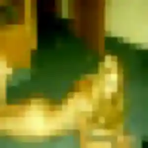 Clementine (31 ans) à Elven attend une rencontre rapidement