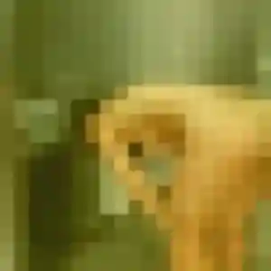 Joanne, 45 ans, cherche un rencontre cougar à Épernon