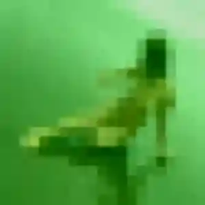 Malika, fille de 29 ans cherche rencontre cougar à Estrablin