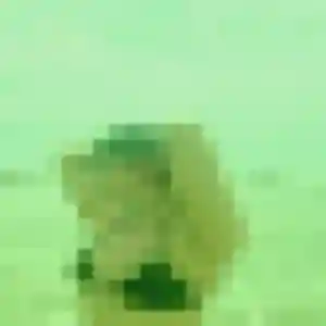 Profil de Ibtissam à Évellys (21 ans) - rencontre cougar gratuit