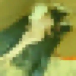 rencontre cougar à Feytiat : profil de Jade, 38 ans - inscription gratuite