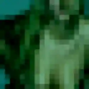 Photo sexy de Sophie, 37 ans à Feyzin - plan discret