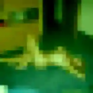 Ibtissam, 43 ans, en ligne à Fleurance pour une rencontre coquine