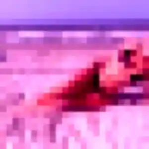 Photo sexy de Yael, 33 ans à Fontenilles - rencontre coquine