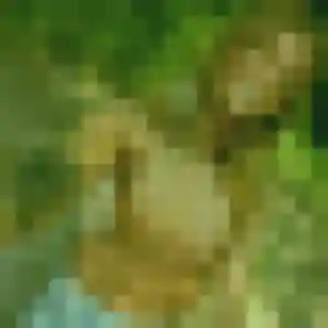 Celia (39 ans) à Gaillard cherche une rencontre ce soir