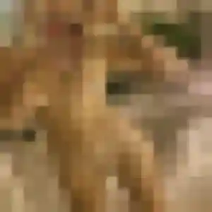 Profil de Helene à Gelos (30 ans) - rencontre cougar sans inscription