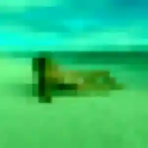 Kenza, 43 ans, dispo pour rencontre cougar à Gerzat