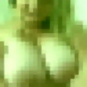 Blanche (37 ans) à Gond-Pontouvre cherche un rencontre cougar ce soir