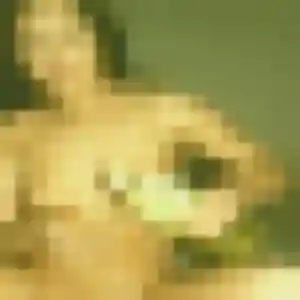 Sylvie (22 ans) à Gorges cherche un rencontre cougar ce soir