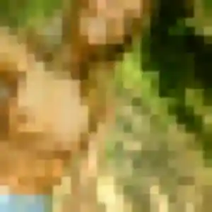 Raphaelle, fille de 41 ans cherche rencontre cougar à Hourtin