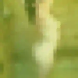 Profil de Priscilla à Joué-lès-Tours (21 ans) - rencontre cougar anonyme