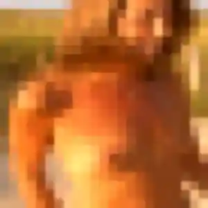 Photo de Emeraude à La Chapelle-Heulin (20 ans) - rencontre cougar anonyme