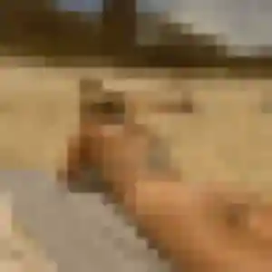 Sexy Cassandre, 35 ans à La Plaine-sur-Mer - découvrir son profil