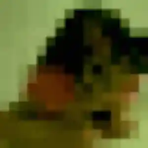 Azalee, 31 ans, connectée à La Rochefoucauld-en-Angoumois pour une rencontre coquine