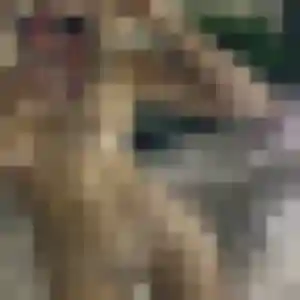 Eugenie, 42 ans, en ligne à Labarthe-sur-Lèze pour un rencontre cougar