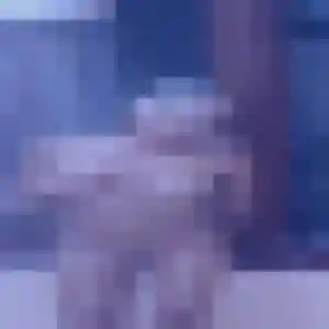 Alexandra, femme de 31 ans veut rencontre cougar à Le Malesherbois