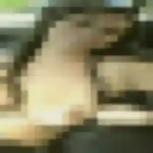 Erika, 34 ans, cherche un rencontre cougar à Le Mans