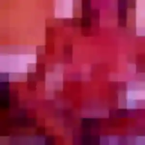 Photo de Adeline à Le Pellerin (23 ans) - rencontre cougar anonyme