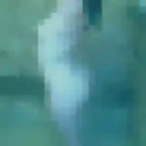 Photo perso de Bianca, 21 ans à Le Touvet - rencontre coquine