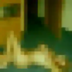 Mila, femme de 45 ans propose rencontre cougar à Lentilly