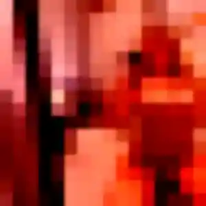 Rania, 20 ans, connectée à Lys-Haut-Layon pour une rencontre coquine