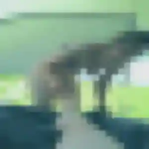 Photo privée de Camille, 33 ans à Meung-sur-Loire - plan discret