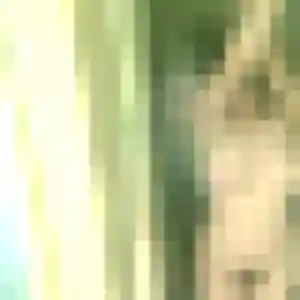 Virginie, femme de 41 ans cherche rencontre cougar à Mignaloux-Beauvoir