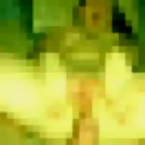 rencontre cougar à Mont-près-Chambord : photo de Marie-Louise, 38 ans - sans engagement
