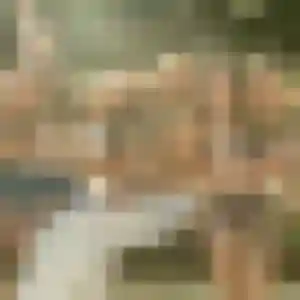 Noura, 44 ans, cherche un rencontre cougar à Mours-Saint-Eusèbe