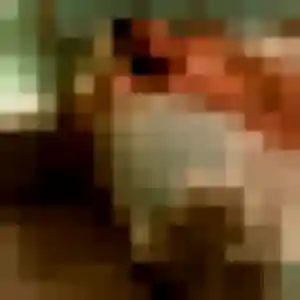 Tamara, 39 ans, disponible à Panazol pour une rencontre coquine
