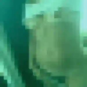 Profil de Celine à Plestin-les-Grèves (21 ans) - rencontre cougar anonyme