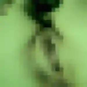 Photo de Ambre à Pleumeleuc (33 ans) - rencontre cougar discret