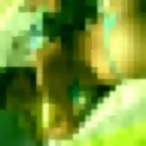 Photo de Ophelie à Plouarzel (34 ans) - rencontre cougar anonyme
