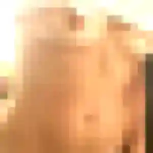 Rejoins Clementine, 32 ans à Pont-de-Buis-lès-Quimerch en privé
