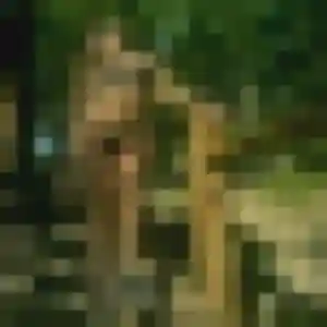 Profil de Audrey à Quimperlé (42 ans) - rencontre cougar gratuit