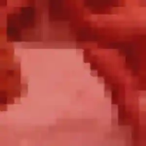 Photo exclusive de Delice, 38 ans à Quissac - rencontre coquine