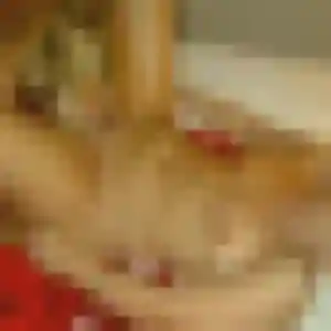 Photo sexy de Amira, 28 ans à Rocheservière - rencontre sans lendemain