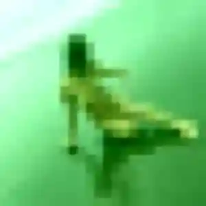 rencontre cougar à Saint-Gildas-des-Bois : profil de Whitney, 36 ans - inscription gratuite