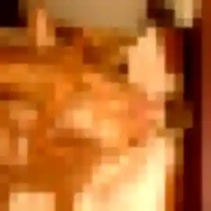 Flore, fille de 41 ans cherche rencontre cougar à Saint-Grégoire
