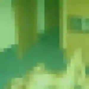 Profil de Eva à Saint-Jean-d'Illac (36 ans) - rencontre cougar gratuit