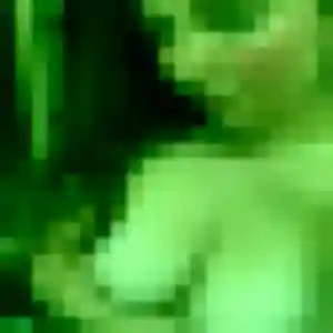 Photo de Colombine à Saint-Pierre-d'Irube (34 ans) - rencontre cougar anonyme