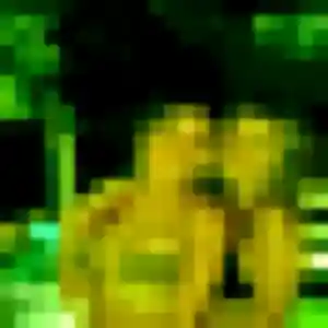 Photo sexy de Axelle, 36 ans à Sainte-Gemmes-sur-Loire - rencontre sans lendemain